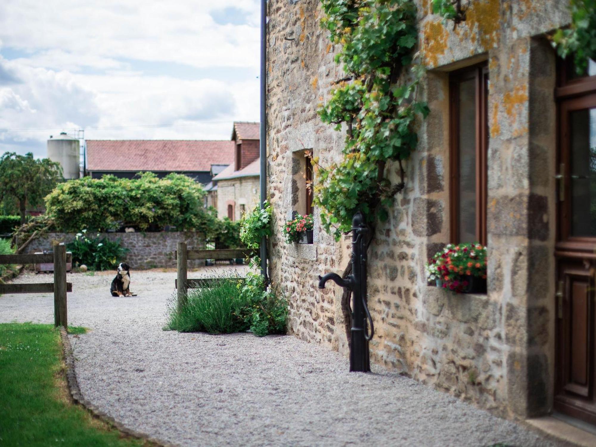 Maison De Campagne Familiale Aux Alpes Mancelles - 3 Chambres, Cheminee Et Activites Proches - Fr-1-410-149 Saint-Léonard-des-Bois エクステリア 写真